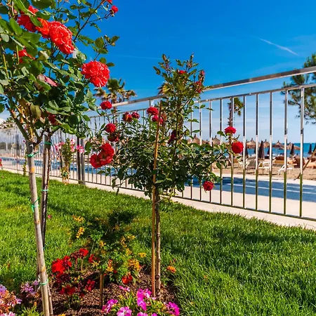 Sea View Eldo Дуррес