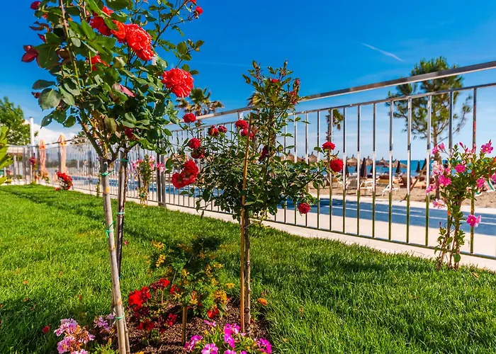 Sea View Eldo Durres